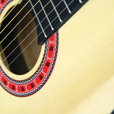 Indiana COLT Standard Size 36-Inch Spruce Top 6-String Acoustic Guitar w/Gig Bag image 5