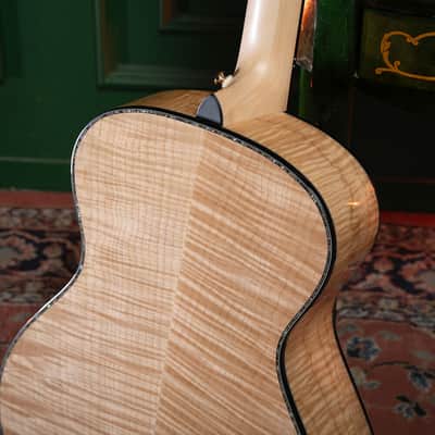 Cort Gold Passion Concert Body Acoustic Guitar Bevel All Solid L.R. Baggs Bild 8
