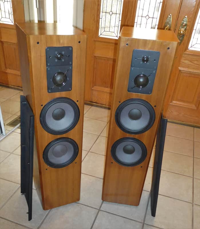 Audacious! ADS L1290/2 Towers in good condition Fully tested and sound amazing! image 1