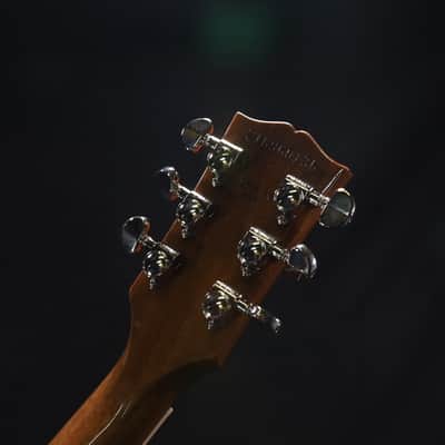 Gibson Les Paul Standard 60s Double Trouble - Vintage Tobacco Burst 136 image 8