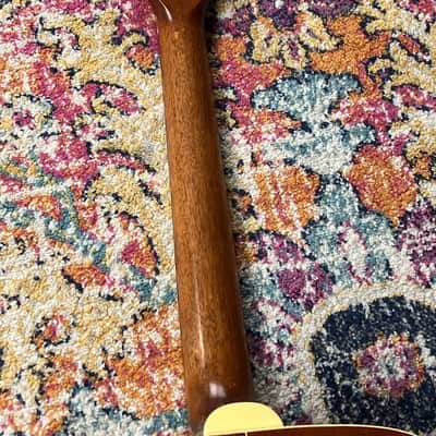Takamine Dragon Series (ED-21C N) image 16
