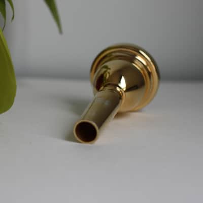 Bach 4GB Trombone Mouthpiece Large Shank - Gold Plated image 4