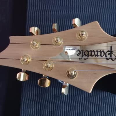 Parable Strat style HH Spalted Maple Electric Guitar 2023 *** FREE SHIPPING *** image 10