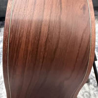 Dowina Cocobola Bona Vida Acoustic Guitar Old Stock Sitka/Cocobolo Parlor Sized with Custom Italian Hardshell Case image 17