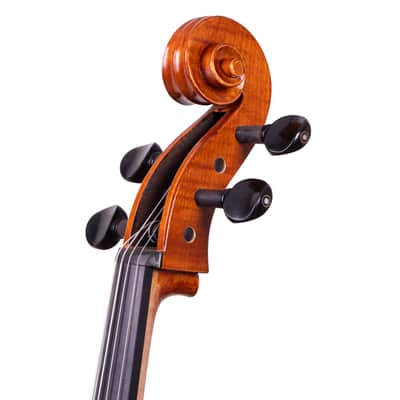Testore Cello 4/4 from One Piece Back – Hand-Made in Romania 2025 #100 image 13