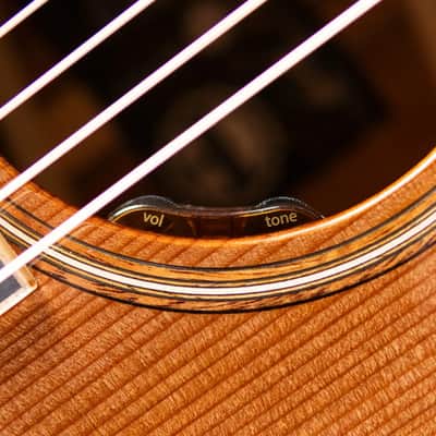 Taylor Custom Shop #C0023 Gold Label Super Auditorium Acoustic/Electric Guitar with Hardshell Case image 13