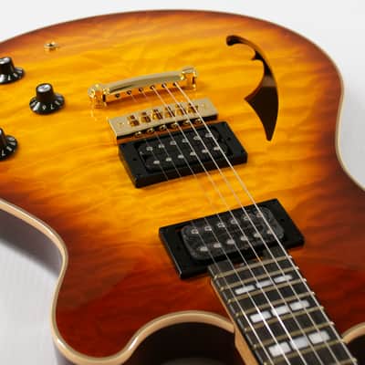 EVH SA-126 Special Quilted Maple Semi-hollowbody Electric Guitar - Tobacco Burst image 5