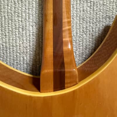 Rickenbacker 360 Capri 1958 - 1960 - Natural image 14