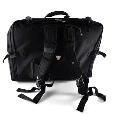 Immagine S.E.M Recanati “Piermaria Classique” Cassotto Accordion 120 Bass (41 Keys, LMMM) – Case, Brand New Straps, Musette – Certified + Video - 10