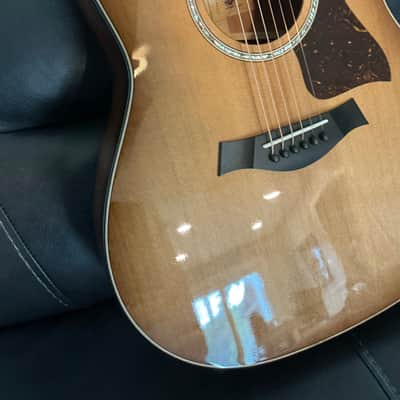 Taylor 517e Grand Pacific 2024 - Torrefied spruce top, Urban bark sides and back with shaded edge burst image 5