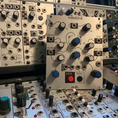 Make Noise Phonogene Module | Reverb