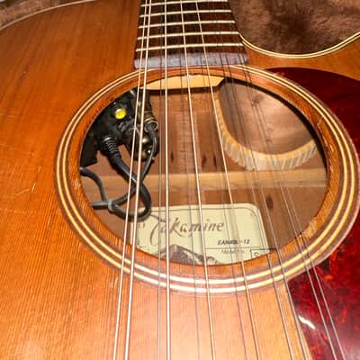 2003 Takamine EAN40C-12, Natural, Cool Tube image 5
