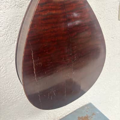 Weymann mandolin (mandolute) style 30 app. 1913 image 10