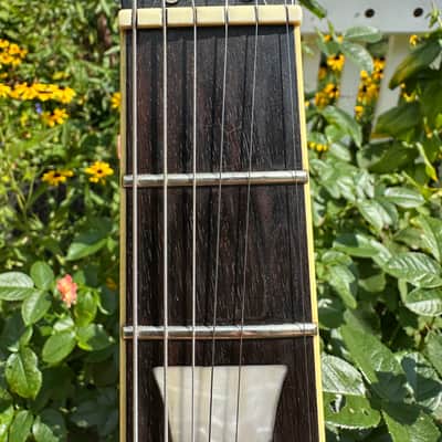 Epiphone Les Paul Standard Plus Top Pro image 6