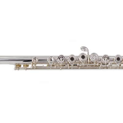 Powell PS-905 Sonaré Concert Flute with Aurumite 9K Lip Plate SN 14-0777 image 6