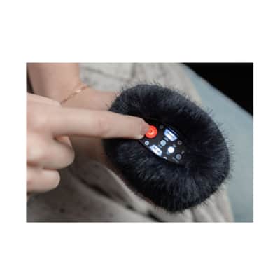 Zoom H2essential Multi-Mic Handy Recorder and Hairy Windscreen Bundle image 5