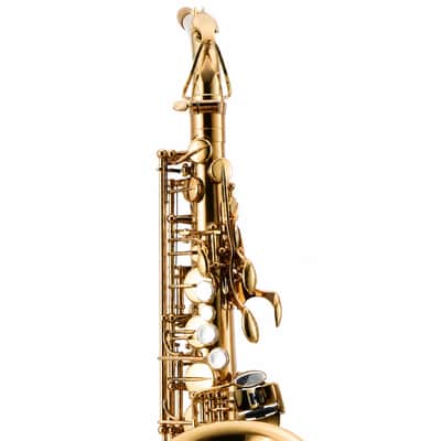 Eastman EAS850 'Rue Saint-Georges' Professional Alto Saxophone SN A2440262 image 7