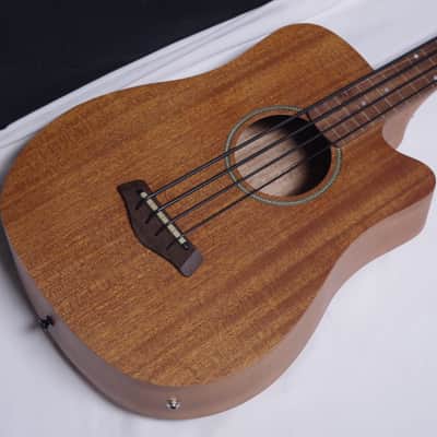 GOLD TONE MicroBass 25" scale FRETLESS 4-string A/E BASS guitar w/ BAG MBass - B image 3