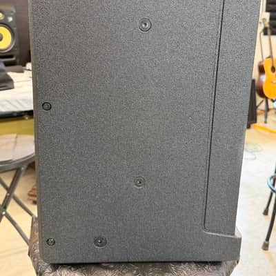 Yamaha DZR10 2024 - Black image 5