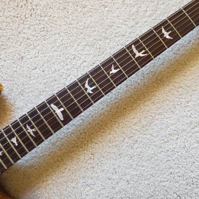 PRS Custom 24 2012 Experience Rosewood Neck image 13