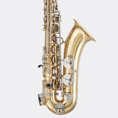 Blessing Bb Tenor Saxophone, Gold lacquer, Outfit image 3