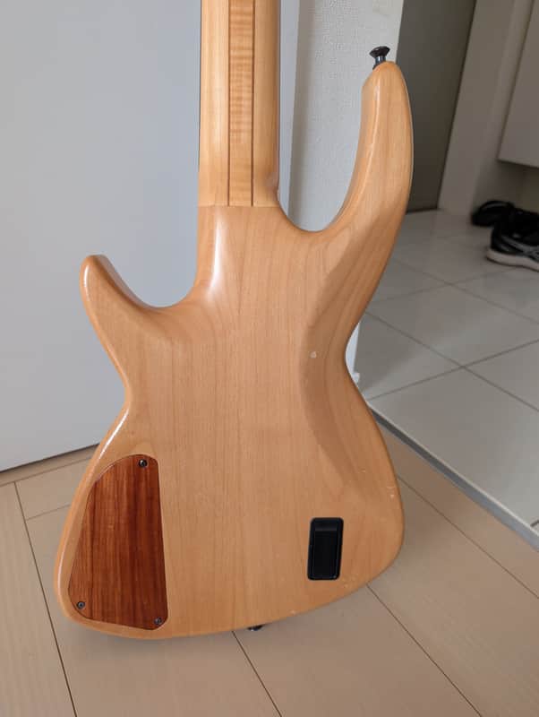 2007 Chris Larkin Reactor 5B Custom Bass | Irish Luthier | Aero