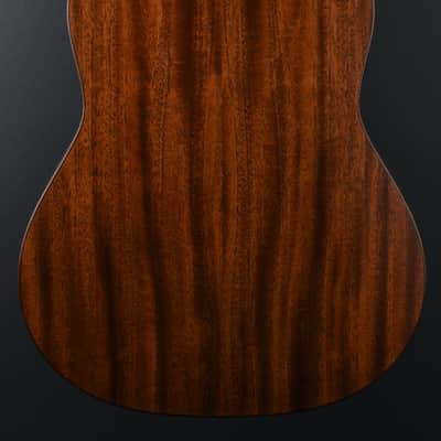 Taylor USED Builder's Edition 517e '24 image 5
