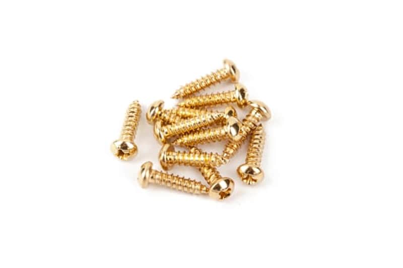 Fender PURE VINTAGE TUNING MACHINE MOUNTING SCREWS image 1