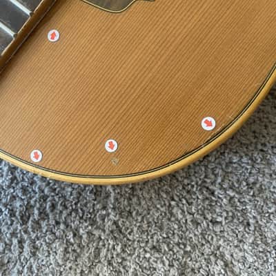 Eko 39 Inch Classical Guitar Project, Spruce Top, Rosewood Body, Mahogany Neck image 12