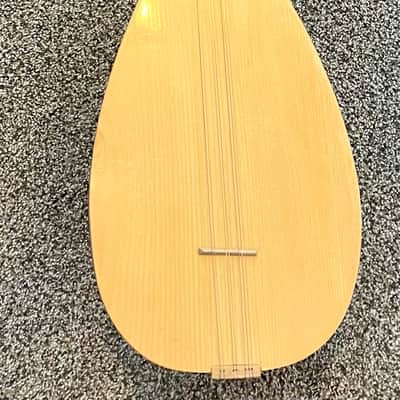 Turkish Saz Baglama with Hard Case, Chord Sheet, Practice Book, Picks, and Extra Strings image 3