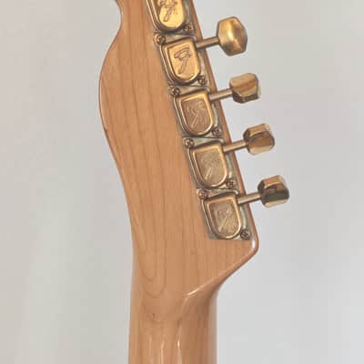 Fender Telecaster Black & Gold limited edition 1981 image 10