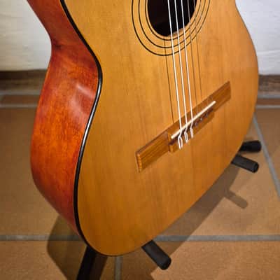 Armando Giulietti 1963 image 15