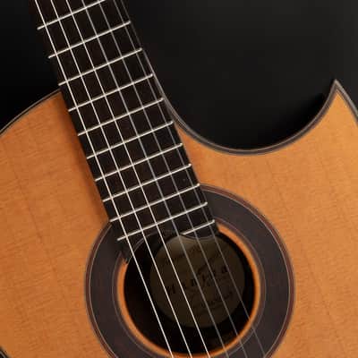 2018 Hanika Fusion PC - Natural | Made in Germany Professional Line Masterbuilt Classical Guitar Cedar Rosewood 50mm Nut Cutaway | CoA OHSC image 21