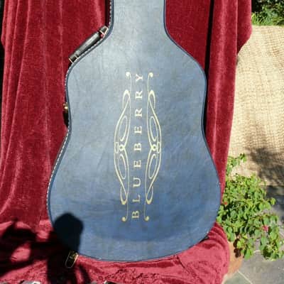 BLUEBERRY 12 String Cutaway   SATAN 2013 Natural image 18