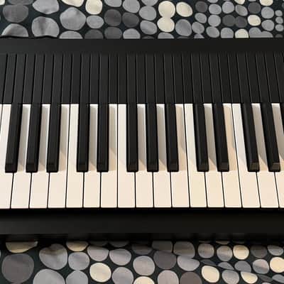 Expressive E Osmose 49-Key 24-Voice Polyphonic Synthesizer (pristine, including cloth cover) image 2