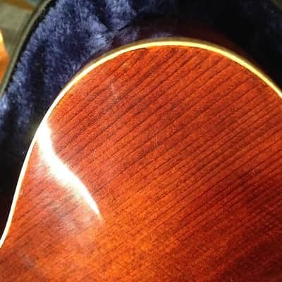 Eastman PG1 Pagelli Signature 17in Archtop Electric Guitar 2012 Sunburst image 9