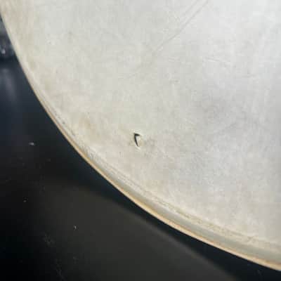Slingerland Genuine Calf Skin 16" Tom Tom Drumhead (RM3) image 5