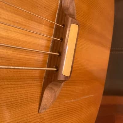 Ernie Ball EARTHWOOD Vintage Hollowbody Acoustic 4-String Bass Guitar Orig OSSC image 6