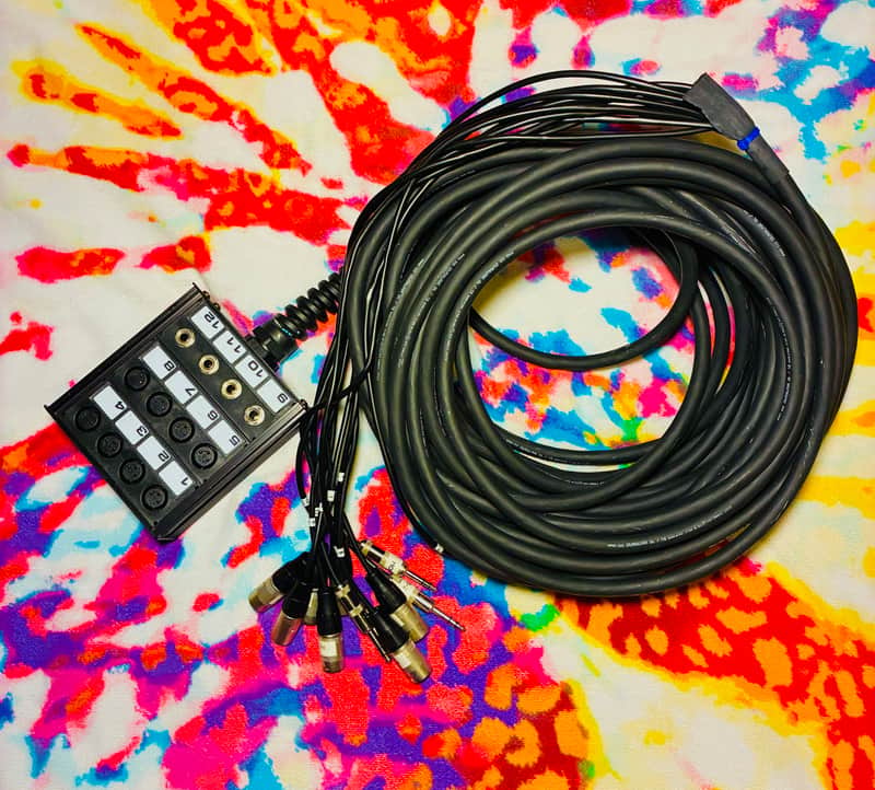 ProCo Stagemaster 100ft Snake image 1