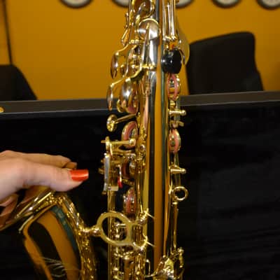 Oxford Alto Sax with case  -NEW image 3