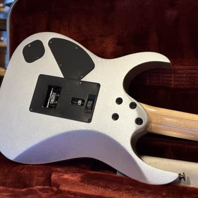Ibanez RG2570Z-VSL Prestige 2008 - 2014 - Vital Silver image 5