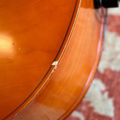 Andreas 101 ¾ Upright Bass Bild 16