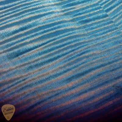 PRS Eddie's Guitars Wood Library DGT (David Grissom Trem)/Mahogany Neck - Aquableux Purple Burst image 16