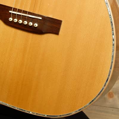 Zager ZAD900ce OM (USED) image 10