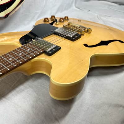 Epiphone Dot Deluxe Semi-Hollow Body Electric Guitar image 20