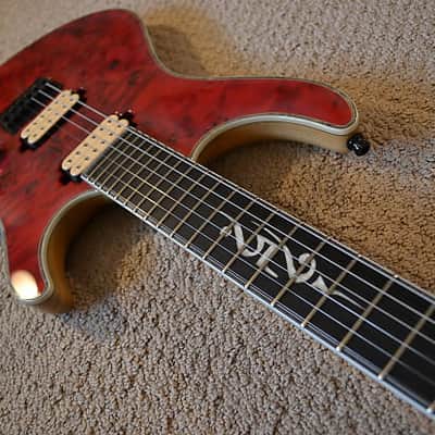 Mayones Regius 25th Anniversary image 8