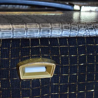 Selmer Zodiac Twin Fifty 1964 - Croc skin image 16