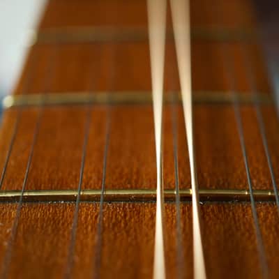 Renaissance Cittern image 19