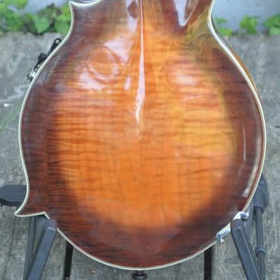Brad Donaldson F-style mandolin, 1994 image 5