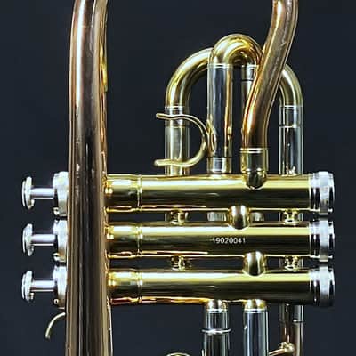 SCHILLER Shepards Crook Pro Elite Cornet in Brushed Rose 2019 image 10